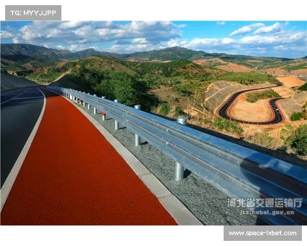 体育领域治理能力现代化加速 完善监管体系 体育领域治理能力现代化加速 完善监管体系