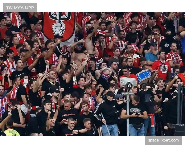 现场：美因茨主场因球迷投掷杂物比赛中断十分钟